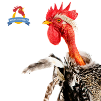 monpetitpoulet-1-logo-200x200